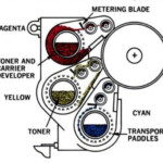 Xerox 6500 drum and developer
