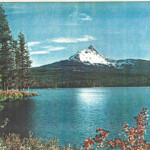 Xerox 6500 color print example Xerox 6500 color print example