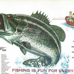 Xerox 6500 color print example